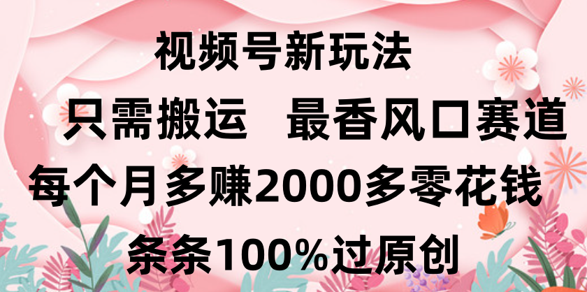 日入2000+,条条100%过原创,视频号最香风口赛道,小白轻松上手