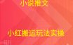 小说推文 小红搬运玩法实操
